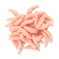 thumbnail image 1 of Toystoory 100 UNIDS Señuelo de Pesca Gusano Realista Gusano Grub Cebo Cebo Artificial de Silicona Cebos de Lombriz Olor Camarón Aditivo Pescar rosado, 1 of 6