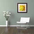 thumbnail image 2 of Trademark Fine Art "Glistening Sunflower Nectar" Canvas Art by Kurt Shaffer, White Matte, Wood Frame, 2 of 4