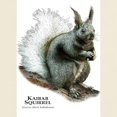 thumbnail image 3 of CafePress - Kaibab Squirrel Light T Shirt - Men's Classic Graphic T-Shirt, 3 of 4