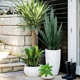 thumbnail image 4 of Summer Flower 21pcs Fake Snake Plant Leaves Set,23inch Tall Faux Sansevieria Plants Outdoor,Artificial Snake Plant Leaf,4 Sizes for Indoor Home Decor,Office,Garden,Tabletop Floor Decorations, 4 of 7