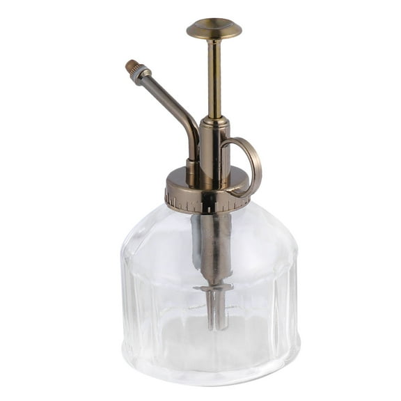 Glass Watering Can with Spray Bottle Ideal for Plants Flowers and Succulents 1PC