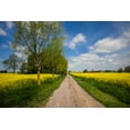 thumbnail image 2 of Bibikow, Walter 14x11 Black Ornate Wood Framed with Double Matting Museum Art Print Titled - Southern Sweden-Boste lage-country road with yellow flowers-springtime, 2 of 4