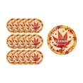 thumbnail image 2 of YingYouFu 16PC Happy Friendgiving Paper Plates,7In Autumn Pumpkin Maple Leaf Theme Dessert Plate for Cake Pizza Disposable Party Decoration Supplies for Friendsgiving Thanksgiving Party Supplies, 2 of 6