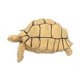 thumbnail image 3 of Figura de tortuga, juguete de tortuga, juguete educativo simulado, juego de tortuga pequeña Beige, 3 of 9