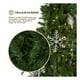 thumbnail image 3 of Árbol de Navidad Pino Canadiense Tipo Lápiz, Esquimal (Verde, 1.80 m), 3 of 6