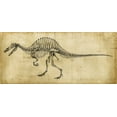 thumbnail image 2 of Harper, Ethan 32x17 Gold Ornate Wood Framed with Double Matting Museum Art Print Titled - Spinosaurus Study, 2 of 4