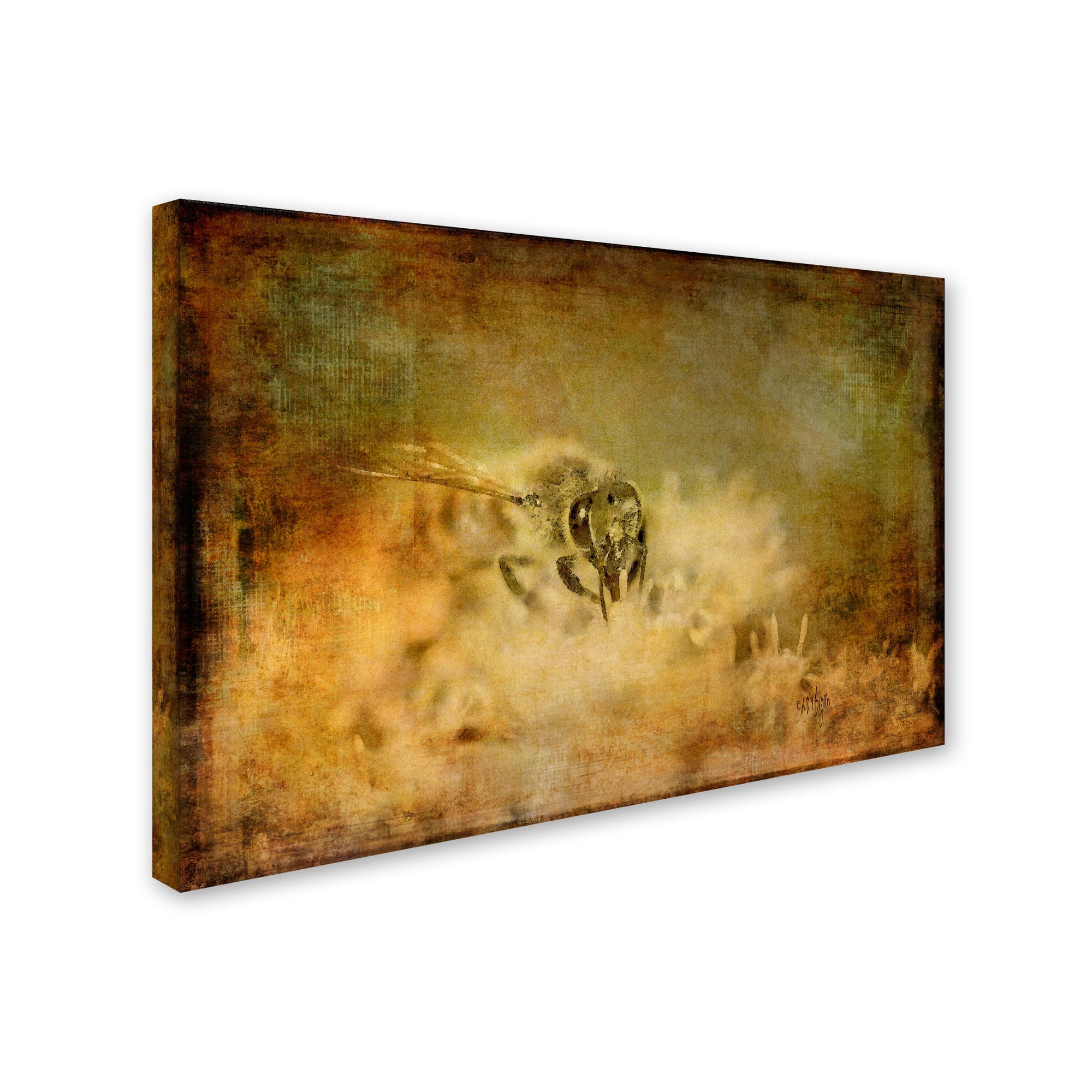 Trademark Fine Art "Send the Bees Love" Canvas Art by Lois Bryan