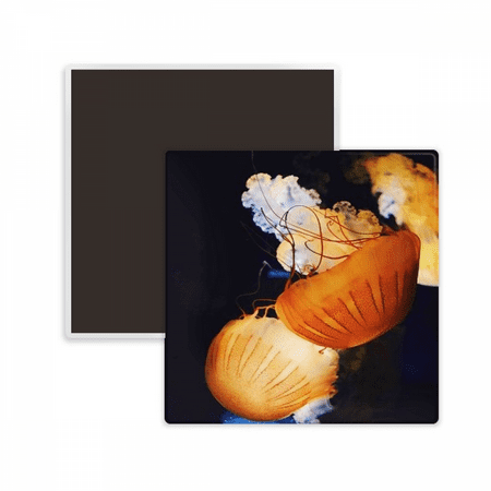 

Jellyfish Tropical Sea Marine Organism Square Ceracs Fridge Magnet Keepsake Memento