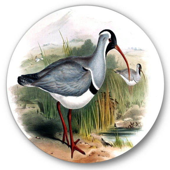 Designart 'Vintage Countryside Birds In Wild' Farmhouse Circle Metal Wall Art 36x36 - Disc of 36