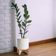 thumbnail image 6 of Ibiza Vertical Line 8 inch Ceramic Plant Pot with Premium Hardwood Stand - Large Indoor Planter with Stand - Matt White, 6 of 7
