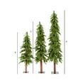 thumbnail image 3 of Vickerman 4' 5' 6' Natural Alpine Artificial Christmas Tree Set, Unlit, 3 of 4