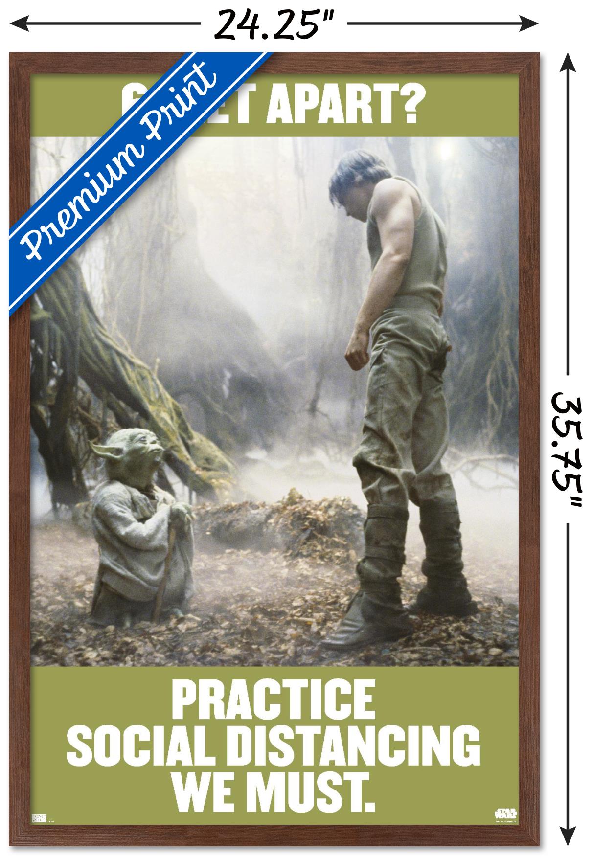 Star Wars: Saga - Luke and Yoda Social Distancing Wall Poster, 22.375" x 34", Framed