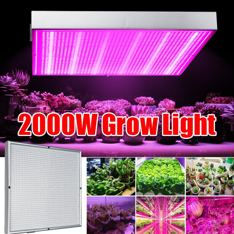 2000W LED Grow Light Full Spectrum Grow Lamp for Greenhouse Hydroponic Indoor 