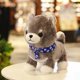 thumbnail image 1 of 1pc lindo Shiba Inu Akita perro juguetes de peluche suave imitación perro dibujos animados mu?eca creativa cumplea?os Gi XianweiShao 8390605676796, 1 of 1