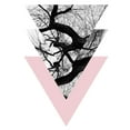 thumbnail image 2 of Lewis, Sheldon 25x32 White Modern Wood Framed Museum Art Print Titled - Natures Balance, 2 of 4