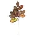 thumbnail image 1 of Vickerman RL192736 36 in. Mocha Magnolia Leaf Spray - 2 per Bag, 1 of 1