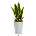 thumbnail image 2 of Nearly Natural 18" Sansevieria Artificial Plant in White Planter, Green, 2 of 4