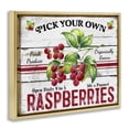 thumbnail image 4 of Stupell Industries Pick Your Own Raspberries Food & Beverage Painting Gold Floater Framed Canvas Art Print Wall Art, 21 x 17, 4 of 10