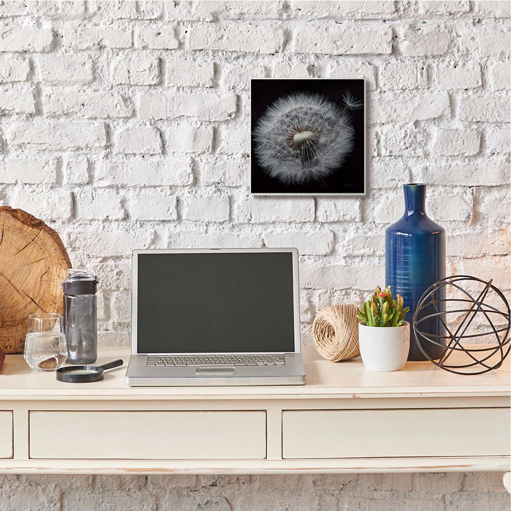 Stupell Industries Close Up Dandelion Petals Black Brown White Photograph Unframed Art Print Wall Art, 12x12, by Andre Eichman