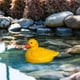 thumbnail image 5 of Estatua de pato flotante, escultura realista, coleccionable, resistente a la intemperie, decoración de jardín. Amarillo, 5 of 8