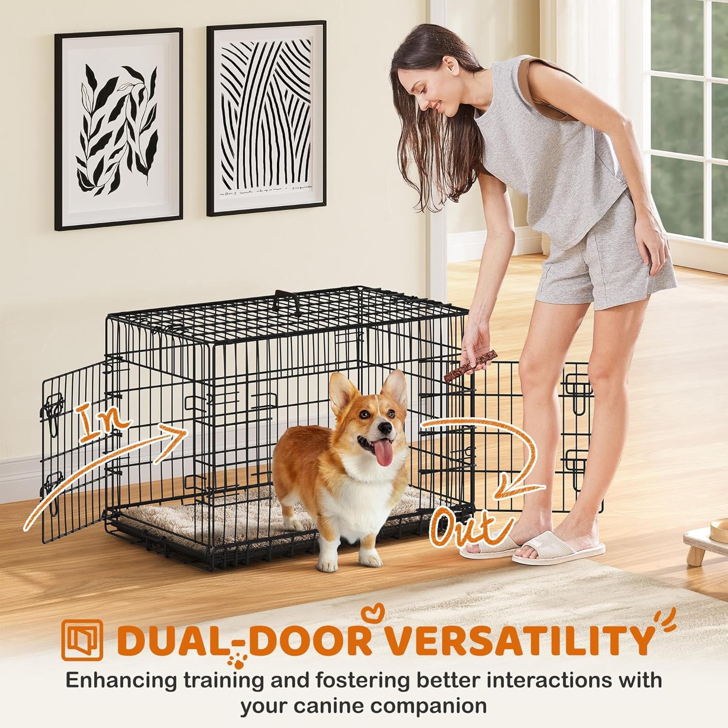 MorandiMal 36 inch Double Door Dog Crate w/Divider for Puppy, Collapsible Metal Dog Kennel with Removable Tray, Portable Travel Cage, Black