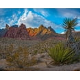 thumbnail image 2 of Fitzharris, Tim 32x26 White Modern Wood Framed Museum Art Print Titled - Red Rock Canyon National Conservation Area-Nevada-USA, 2 of 4