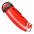 thumbnail image 1 of Collar Ajustable Luz Led Perro Gato Luminoso Paseo Nocturno, 1 of 5