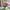 Pink, variant on jiacuix Artificial Flower Room Potted Flower Arrangement Decoration