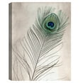 thumbnail image 4 of Masterpiece Art Gallery Feathers #11 Peacock By Alan Blaustein Canvas Art Print 18" x 24", 4 of 4