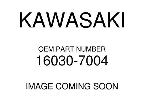 Kawasaki Genuine OEM Float Valve for FX651V Lawn Mower - 16030-7004