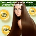 thumbnail image 2 of Yecuce Hair Dye Shampoo for Women & Men， Natural Plant,(Coffee)500ml, 2 of 9