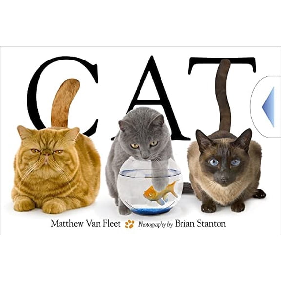 Pre-Owned Cat (Hardcover) 1416978003 9781416978008