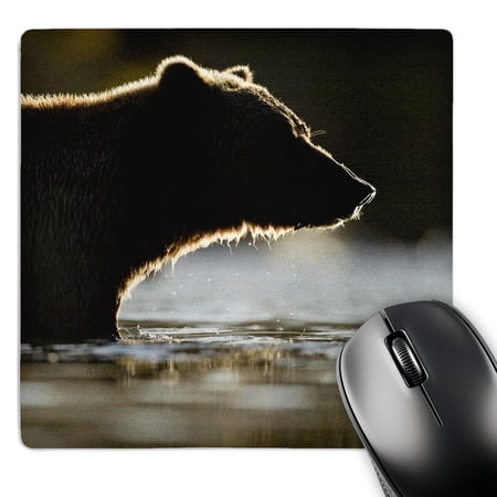 3dRose  Alaska  Katmai National Park  Grizzly Bear - US02 PSO1294 - Paul Souders  MousePad price history on PriceWatchPro