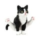 thumbnail image 1 of Figura de Gato Sunnimix Juguetes de Gato de Simulación Decoración Pas Negro, 1 of 8