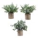 thumbnail image 1 of Plantas artificiales en maceta Strade Fareast Limited 3 piezas, 1 of 5