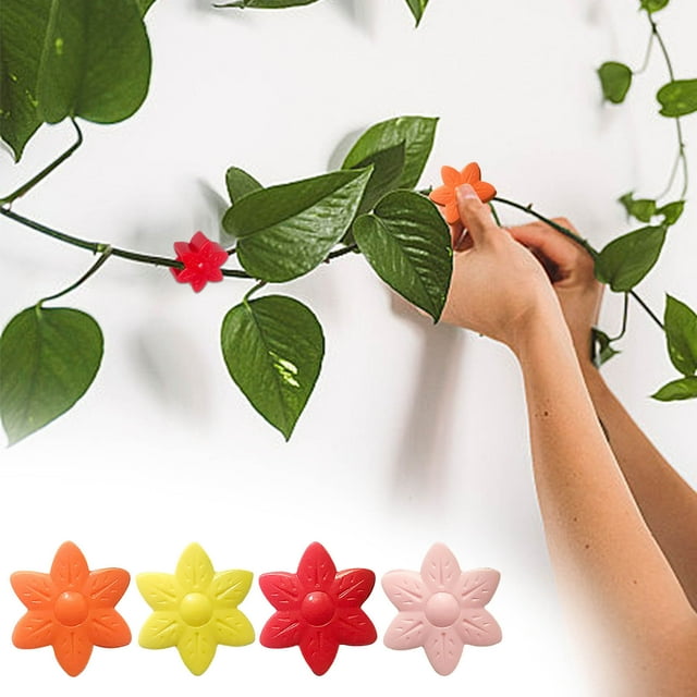 Cera de grafeno para coche sólida | Cera de palma para coches | Cerámica con infusión de titanio | Alto brillo y durabilidad | Fórmula natural | Fácil aplicación | Barrera protectora | 1 Pieza |