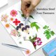 thumbnail image 4 of 60 flores de pensamiento de resina seca blanca, flores de pensamiento naturales joyería vela tarjeta jabón haciendo álbum de recortes DIY, 4 of 5