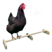 Backyard Barnyard 30" Stretch Chicken Perch Strong Roosting Bar Made in USA! Solid Wood Accessories and Toys for Coop and Brooder for Large Bird Baby Chicks Chooks Pollos Gallinas Polluelos Parrots