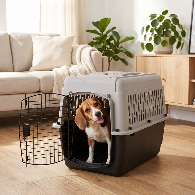 Vibrant Life Medium Plastic Hard-Sided Pet Carrier, Black and Gray