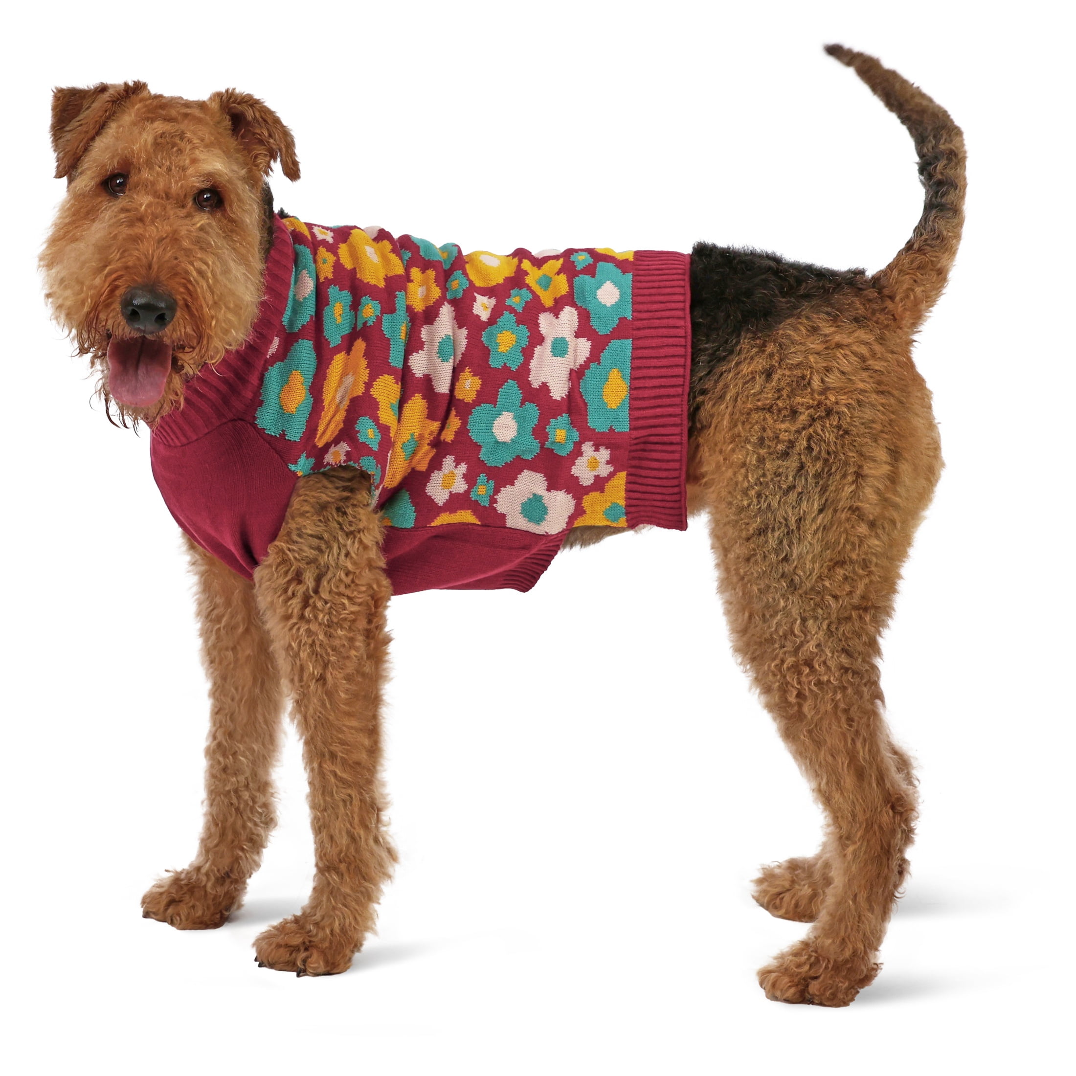 Vibrant Life Sweater for Dogs, Fall Flowers, Red and Yellow, L