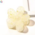 thumbnail image 1 of Pinza de garra de flor para mujer y niña, pinza para el pelo, pinzas para el pelo, pinzas para la diadema de cangrejo, accesorios para el cabello de invierno, 2023, 1 of 4