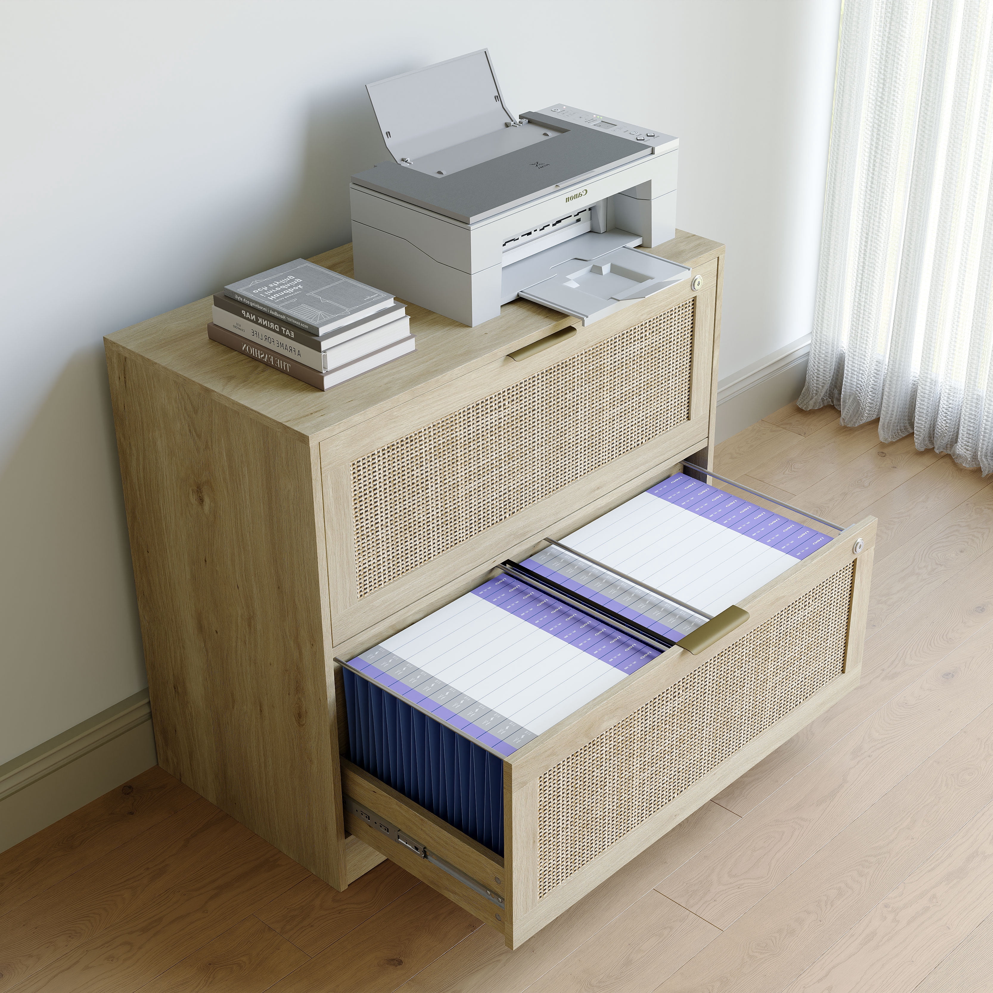 Coewske 2-Drawer File Cabinet Lateral Filing Cabinet Printer Stand w/ Lock Home Office Nature