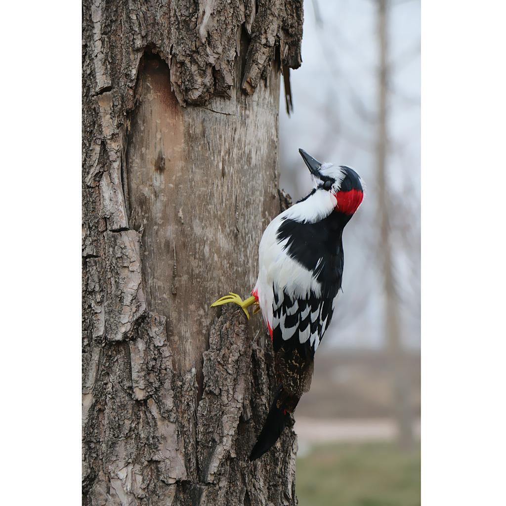  Large stone woodpecker feeding  babies Wall Plaque Garden Ornament 12 inches  