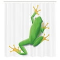 thumbnail image 3 of Ambesonne Frog Shower Curtain, Tropic Frog in Nature, 69"Wx70"L, Green White Yellow, 3 of 5