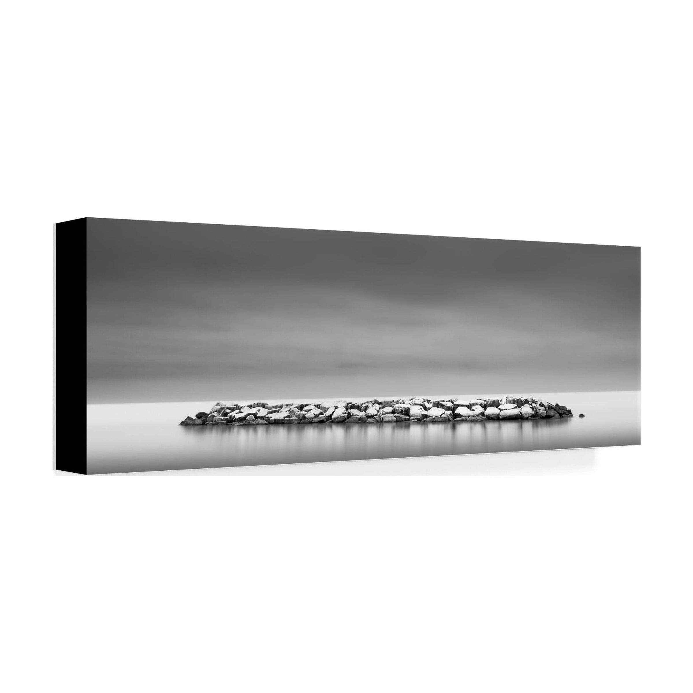 Dave MacVicar 'Sugar Coated' Canvas Art