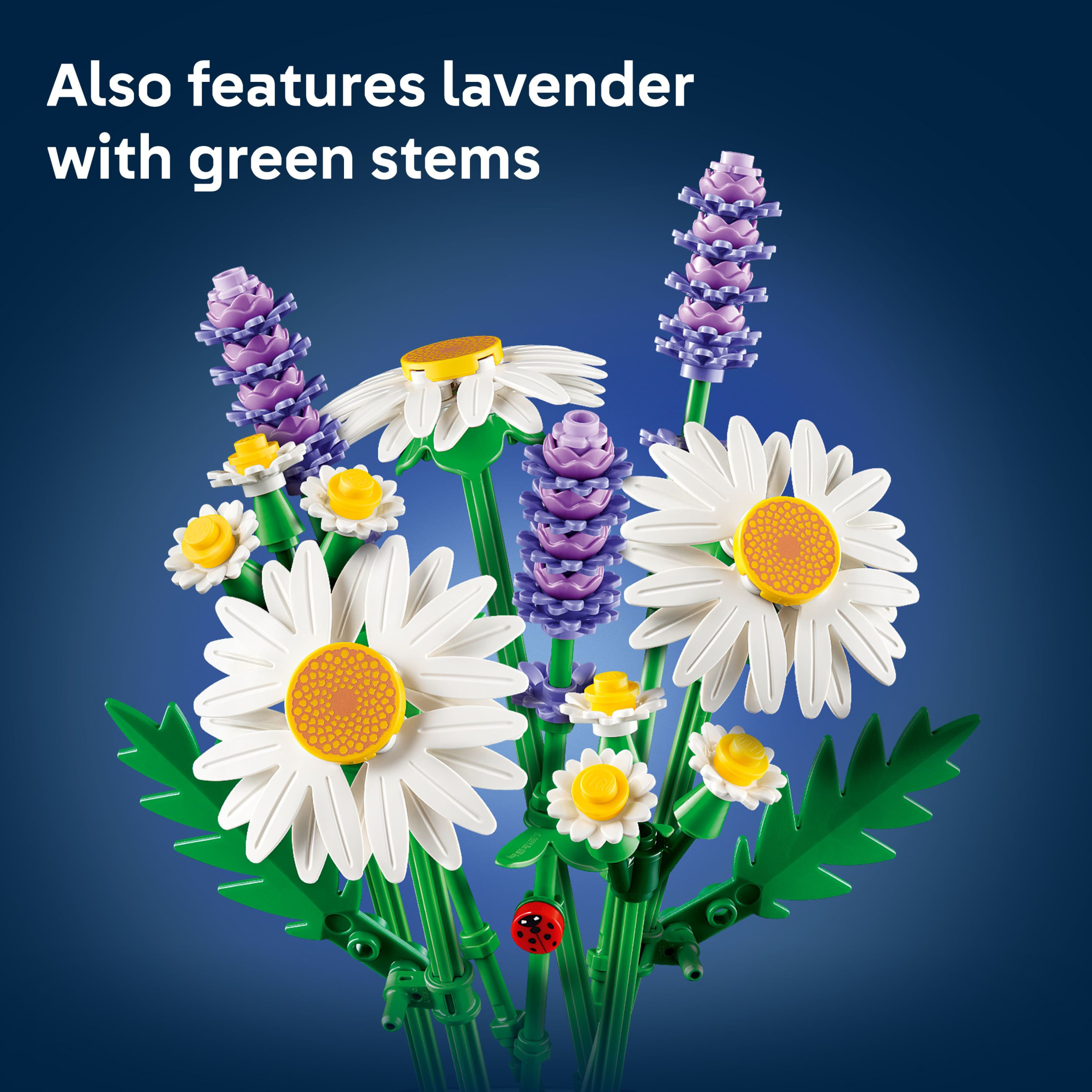 LEGO Botanicals Margaritas Juguete de Construcción - Regalo de Cumpleaños para Niños y Adultos, Edades 9+ - Decoración para Habitación de Niños para Estante o Escritorio, Niñas y Niños - 11508 5