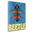 thumbnail image 1 of Tangletown Fine Art Beetle Canvas Ready To Hang Giclee Print Wall Art By Shanni Welsh, 1 of 2