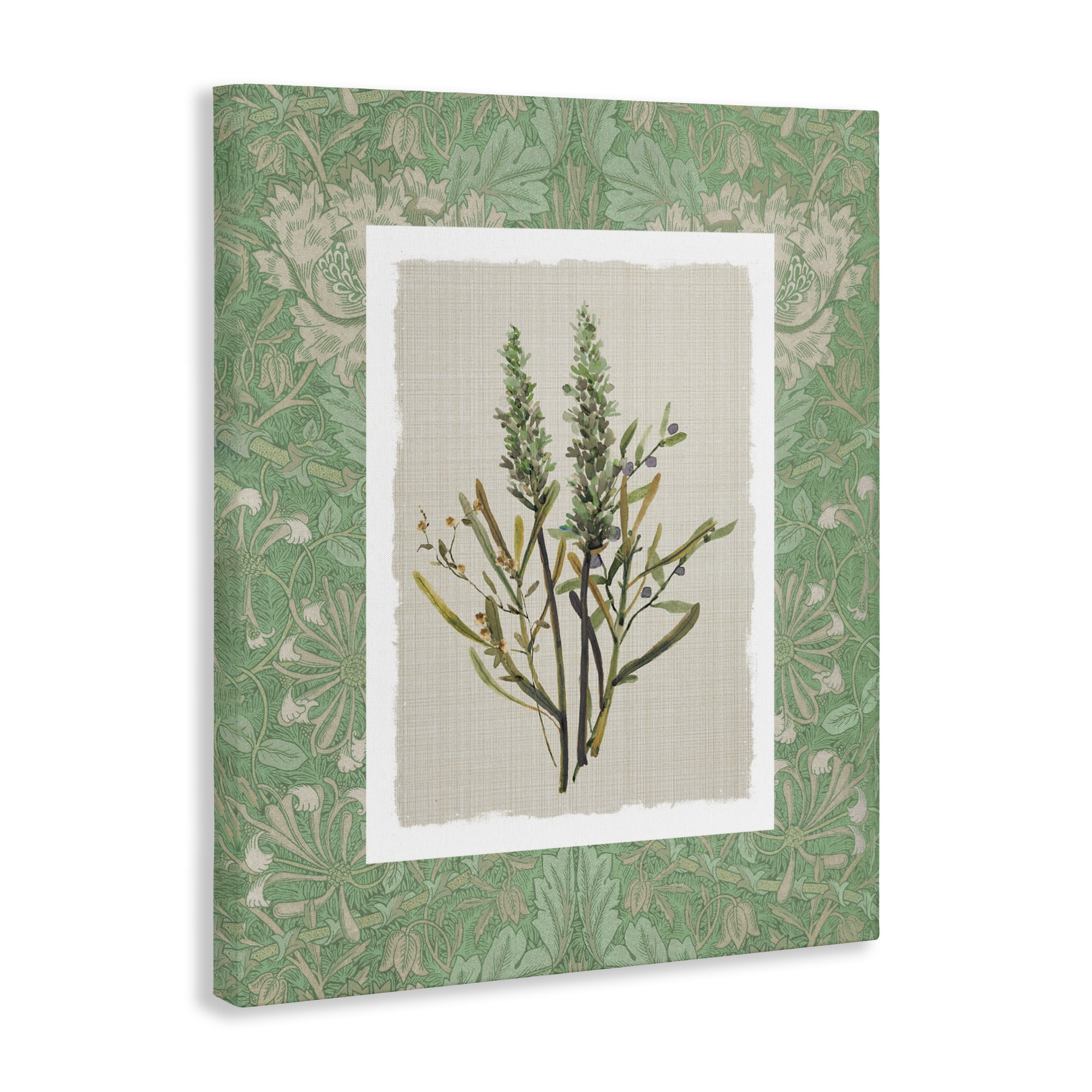 Stupell Industries Antique Foliage in Green Canvas Wall Art, design by Carol Robinson
