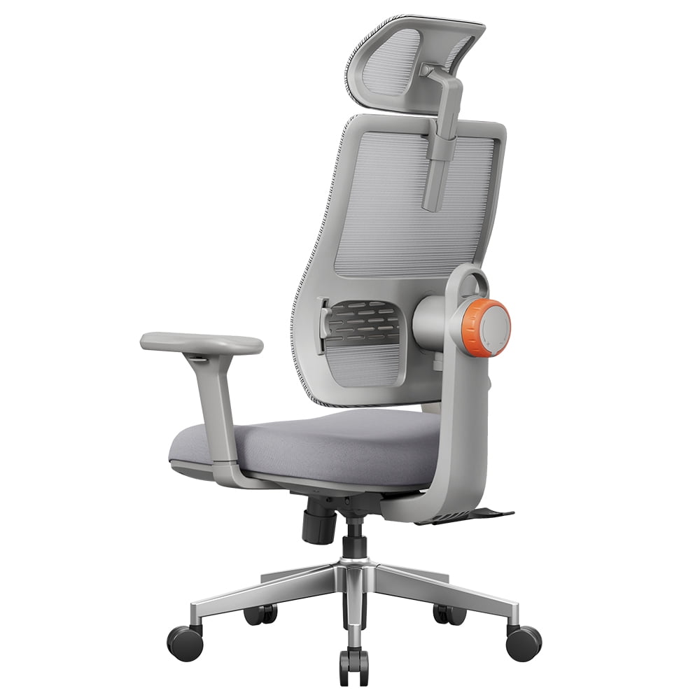 Ergonomic Office Chair – Adaptive Lumbar Support, Multifunctional Adjustments & Certified Comfort NEWTRAL MAGICH003