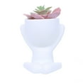 thumbnail image 1 of Lazy Man's Planter Decorative Pot Effortless Dummy Care Desktop Ornament, 1 of 6